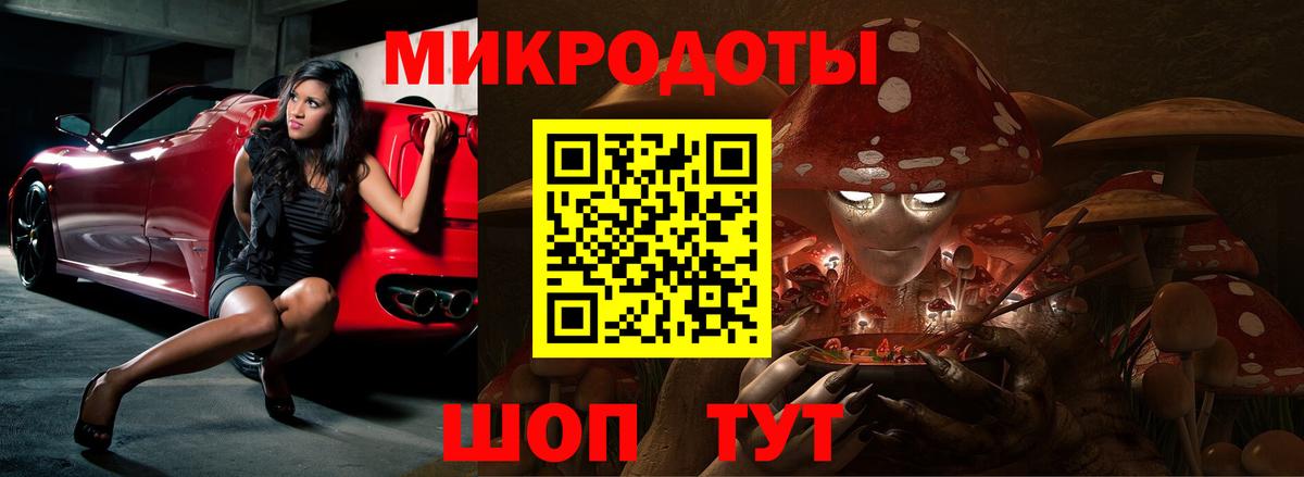 Псилоцибиновые грибы Cubensis Кстово